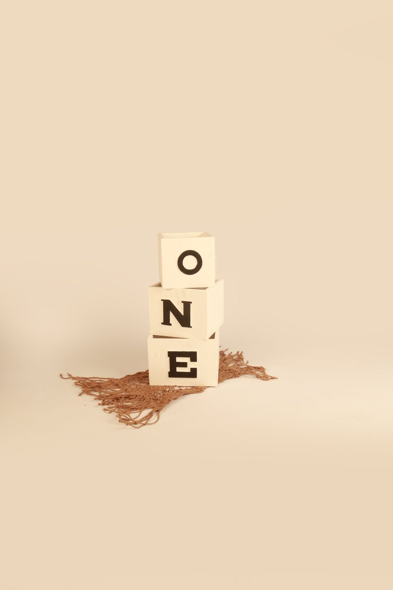 ONE Blocks - First Birthday Photography Prop - Tiny Prop Store