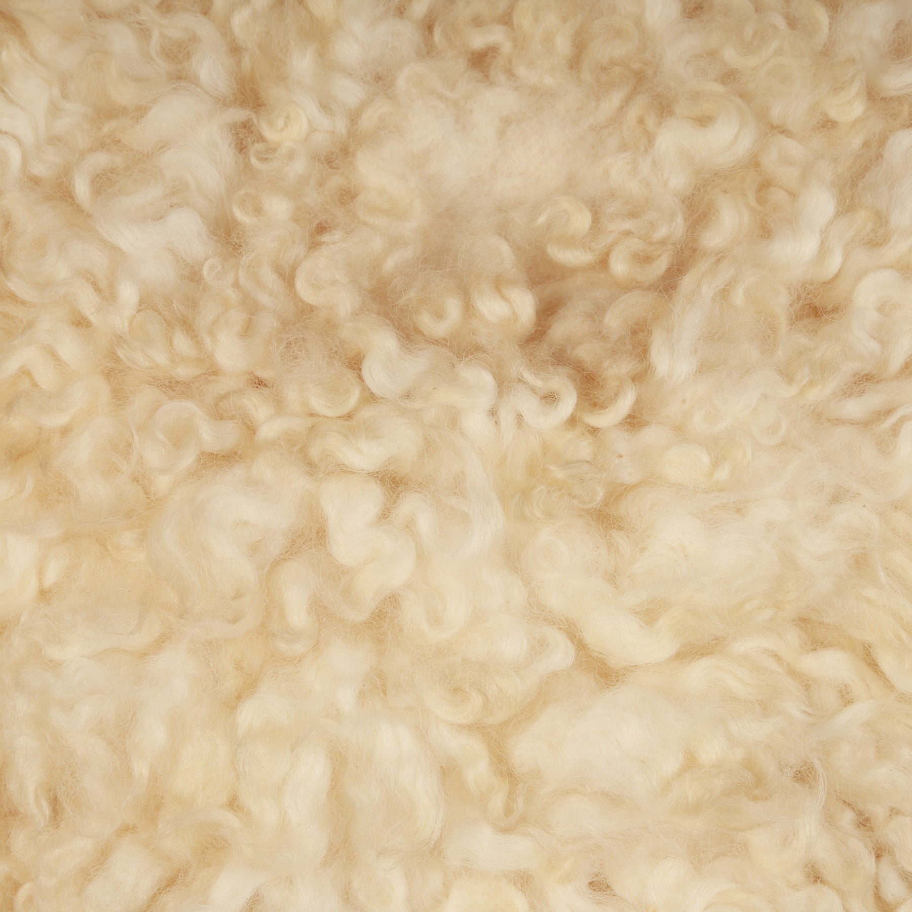 White Curly Fur Layer – Soft Newborn Photography Prop for Textured Baby Photoshoots
