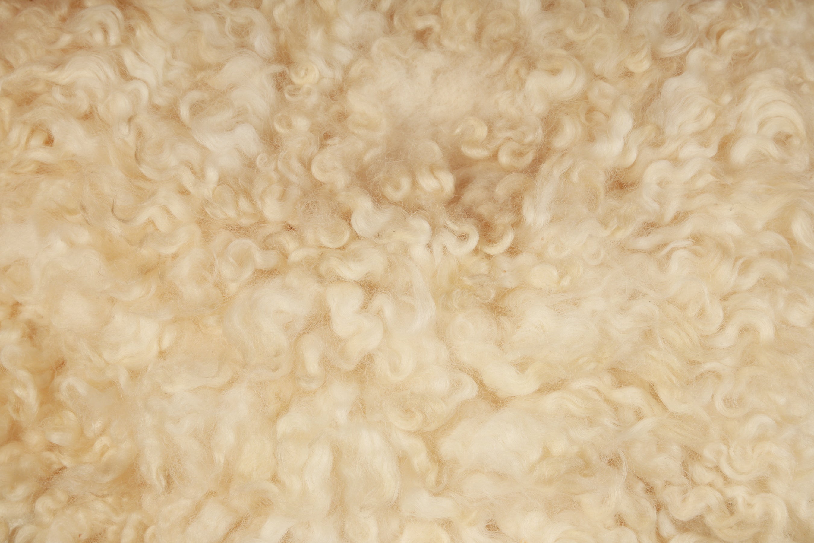 White Curly Fur Layer – Soft Newborn Photography Prop for Textured Baby Photoshoots