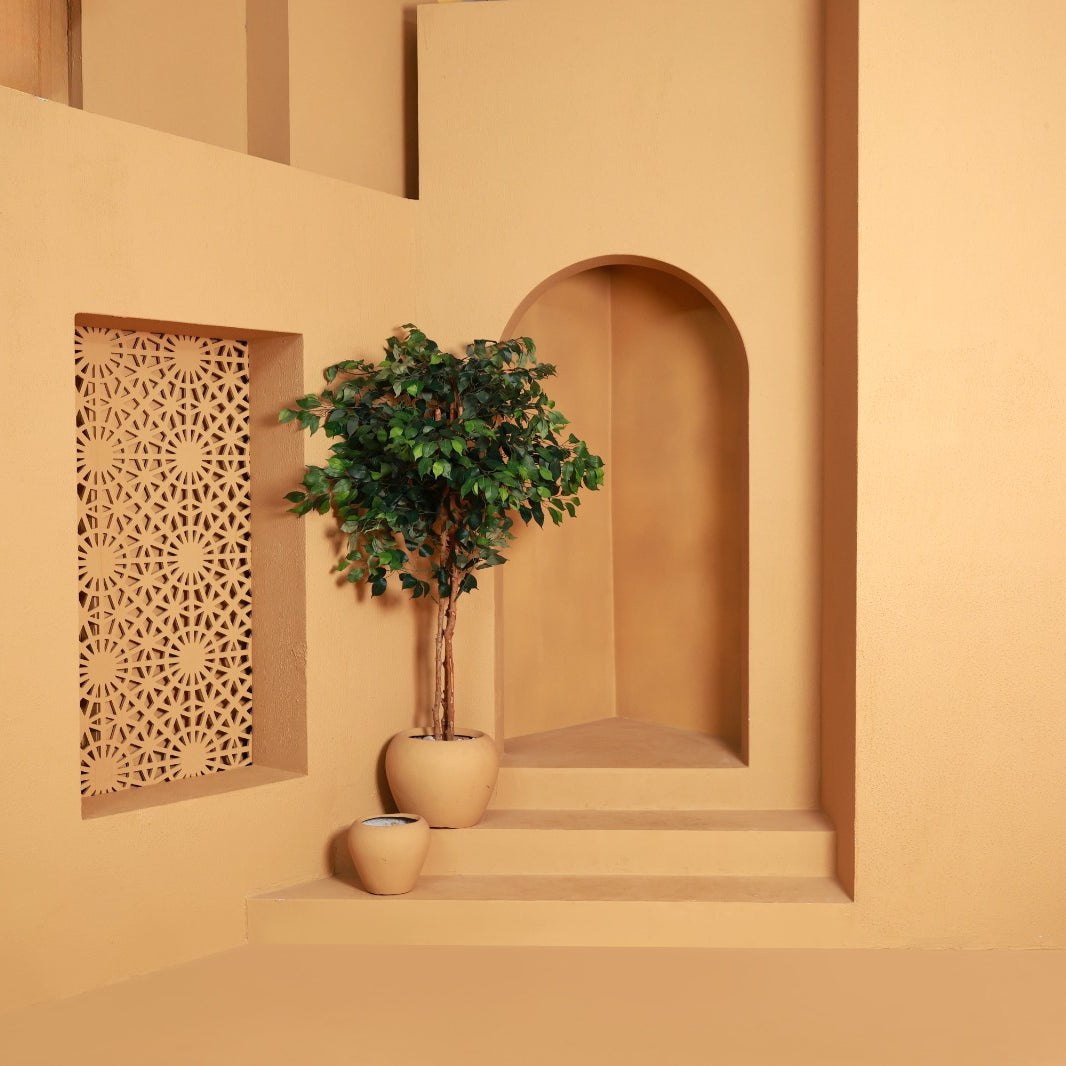 Studio Setup - Studio Set