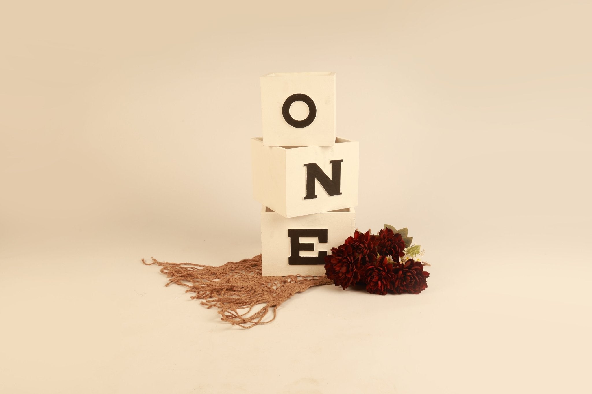 ONE Blocks - First Birthday Photography Prop - Tiny Prop Store