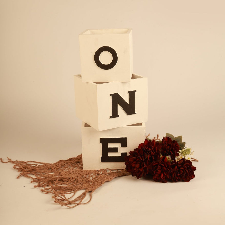 ONE Blocks - First Birthday Photography Prop - Tiny Prop Store