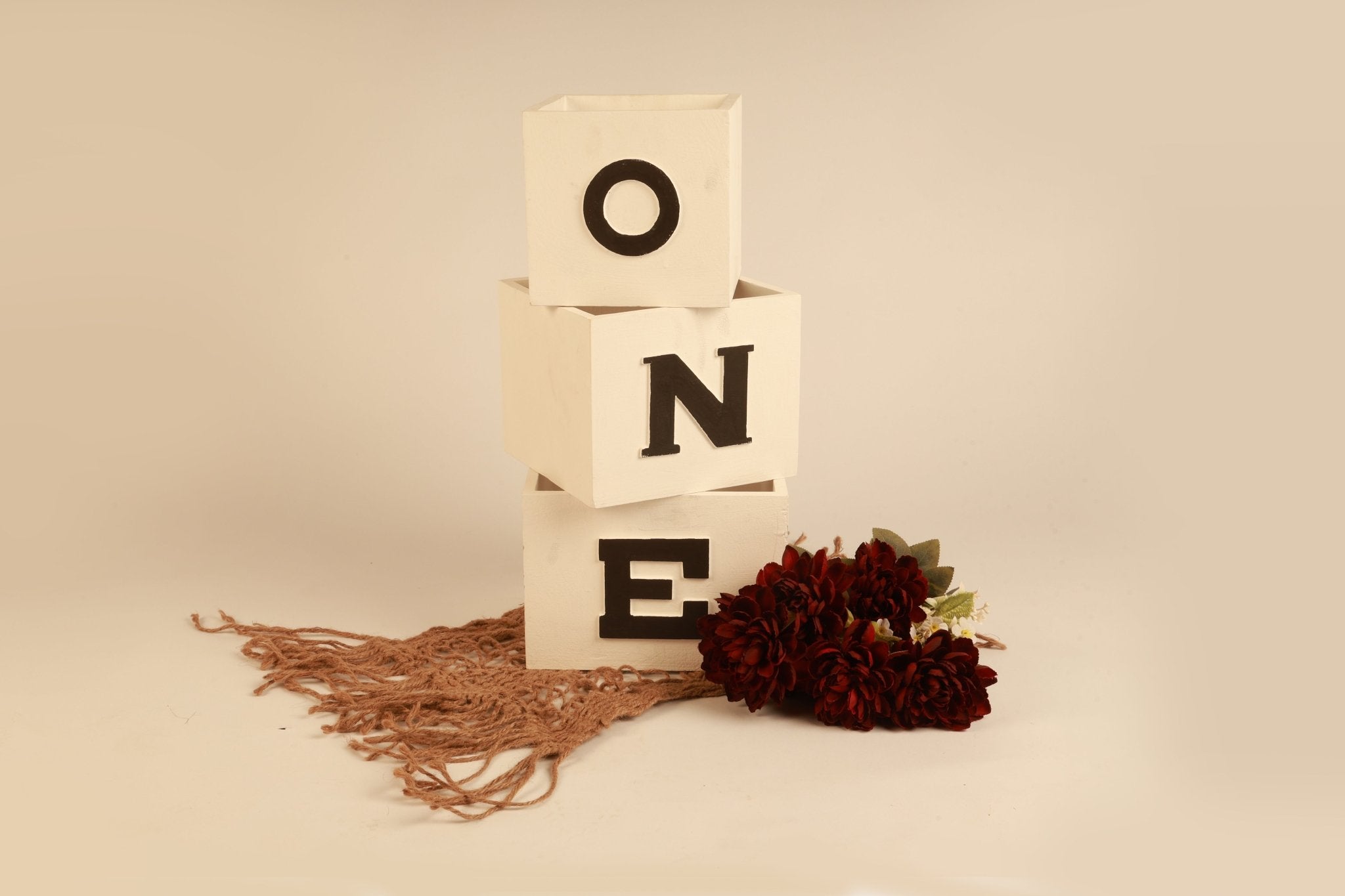 ONE Blocks - First Birthday Photography Prop - Tiny Prop Store