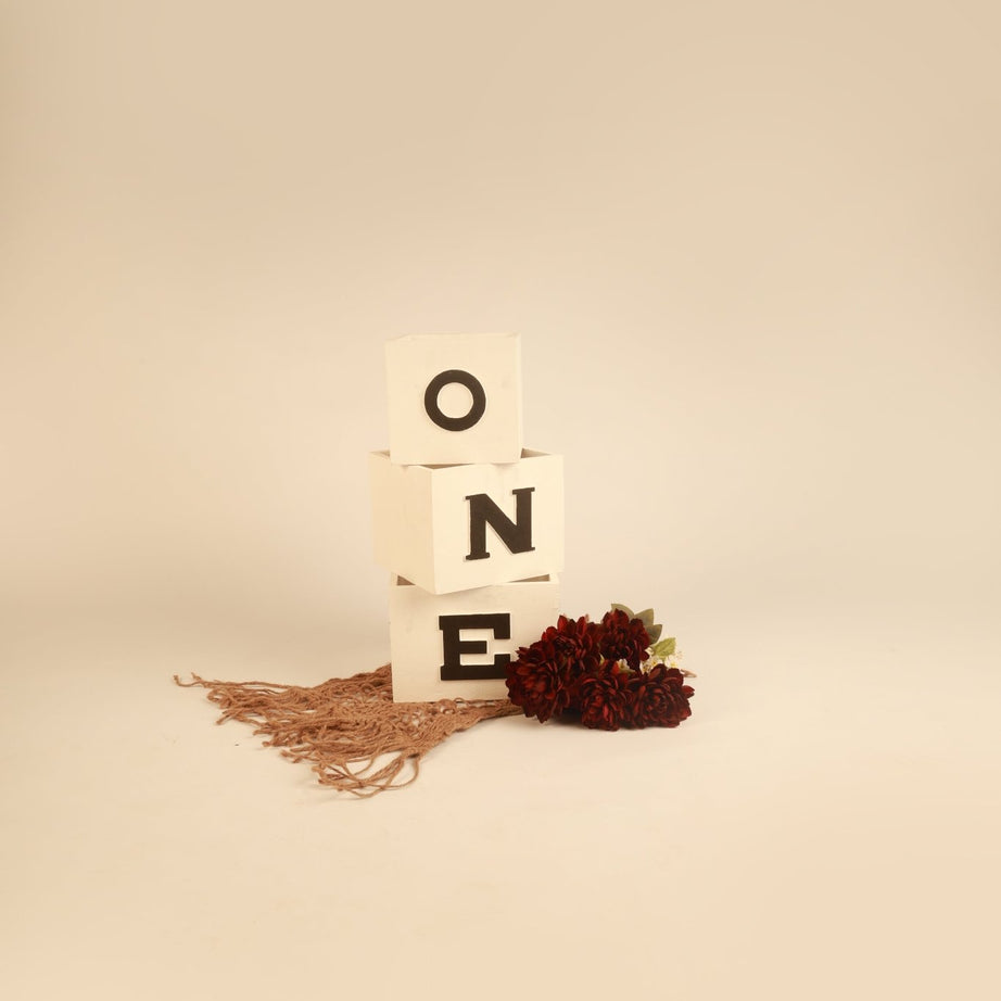 ONE Blocks - First Birthday Photography Prop - Tiny Prop Store