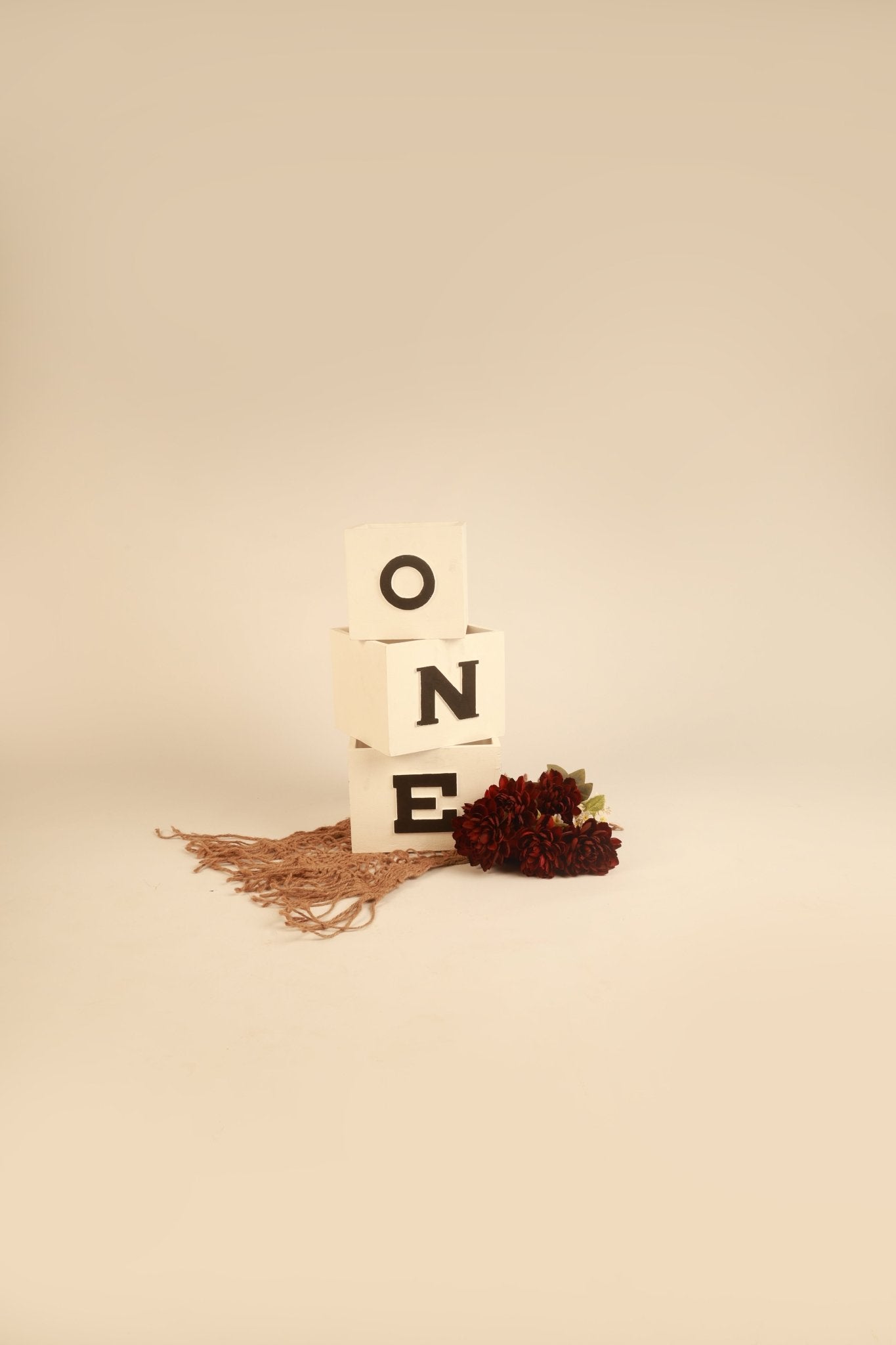ONE Blocks - First Birthday Photography Prop - Tiny Prop Store